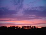 dsc02064.jpg