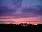 dsc02065.jpg