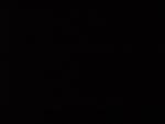 dsc02078.jpg