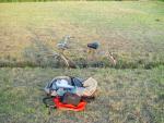 dsc02099.jpg