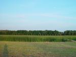 dsc02100.jpg