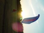 dsc02103.jpg