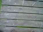 dsc02131.jpg