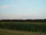 dsc02137.jpg