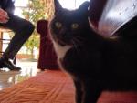 dsc01509.jpg