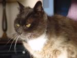 dsc01510.jpg