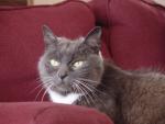 dsc01511.jpg