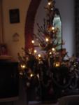 dsc01546.jpg