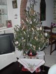 dsc01548.jpg