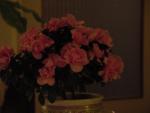 dsc01552.jpg