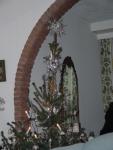 dsc01554.jpg