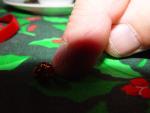 dsc00405.jpg