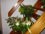 dsc01734.jpg