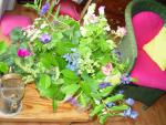 dsc01754.jpg