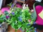 dsc01755.jpg