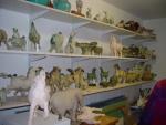 dsc01772.jpg
