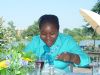 dsc00345.jpg