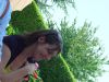 dsc00315.jpg