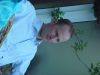dsc00449.jpg