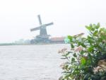 dsc00901.jpg