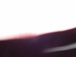 dsc01094.jpg