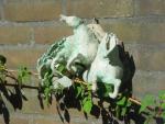 dsc00040.jpg