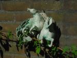 dsc00041.jpg