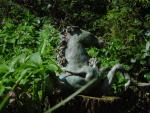 dsc00052.jpg