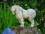 dsc00053.jpg