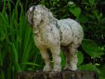 dsc00058.jpg