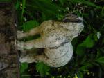dsc00059.jpg