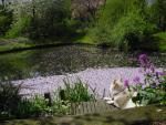dsc00063.jpg