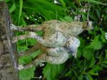 dsc00066.jpg