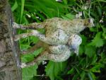 dsc00067.jpg