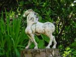 dsc00072.jpg