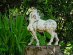 dsc00073.jpg