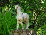 dsc00074.jpg