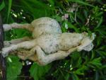 dsc00075.jpg