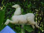 dsc00076.jpg