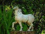 dsc00079.jpg