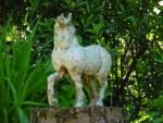 dsc00081.jpg