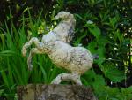 dsc00082.jpg