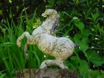 dsc00083.jpg