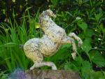 dsc00084.jpg