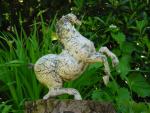 dsc00085.jpg