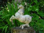 dsc00086.jpg