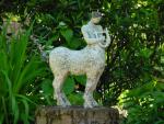 dsc00088.jpg