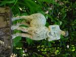 dsc00089.jpg