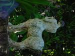 dsc00090.jpg