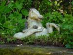 dsc00091.jpg